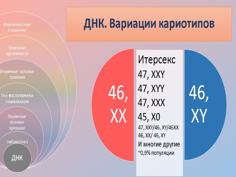 ДНК. Вариации кариотипов Итерсекс 47, XXY 47, XYY 47, XXX 45, X0 47, XXY/46,